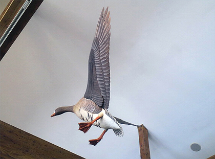 雁が鳴いて東の空へ飛んで行かぁ