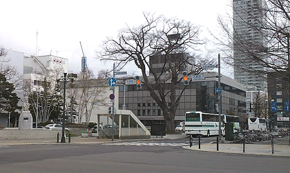 寄らば大樹の陰