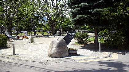 樹がどれもデカい