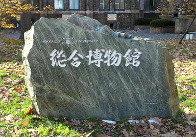 看板岩ではなく橄欖岩