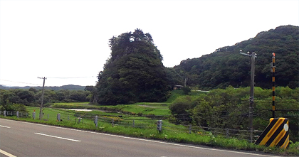 とんがりお山