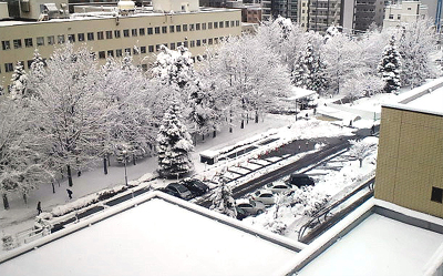 やっと雪景色