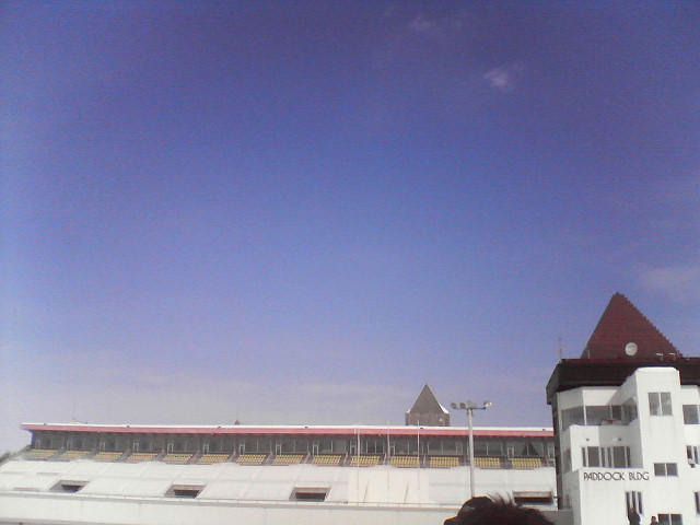 NEC_0169.jpg