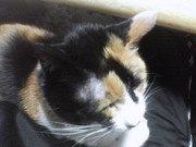 20090327-01.JPG