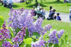20110319-00.jpg