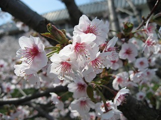 20070517-00.jpg