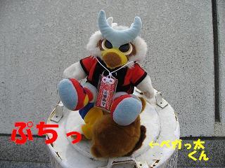 20070518-13.JPG