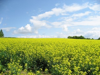 20080604-00.jpg