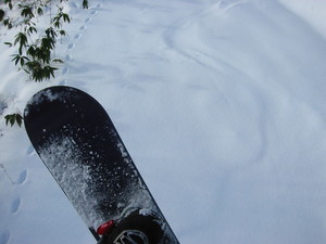 20080106-01.JPG