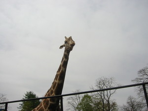 20080511-01.JPG