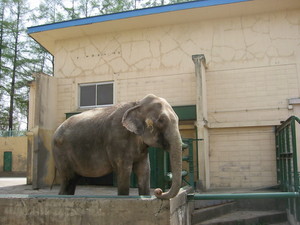 20080511-02.JPG
