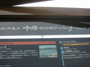 20080511-03.JPG