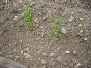 20080627-00.JPG