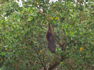 20080105-00.JPG