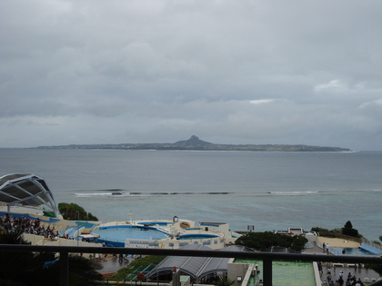 20080105-06.JPG