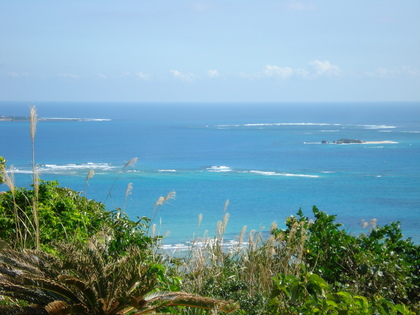 20080106-03.JPG