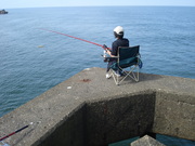 20090815-04.JPG