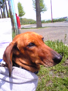 Image009.jpg