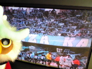 Image015.jpg