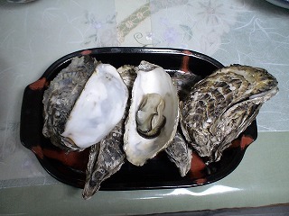 20070301-09.jpg