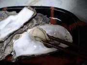 20070301-10.jpg