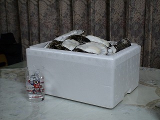 20070301-11.jpg