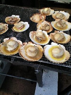 20090508-08.jpg