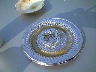 20090508-11.jpg