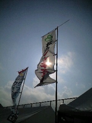 20090508-12.jpg