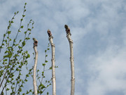 20070516-01.jpg