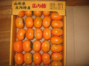 20071107-01.jpg