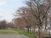 20080425-00.jpg