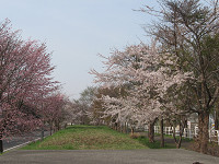 20080504-00.jpg