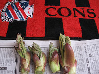 20080510-00.jpg