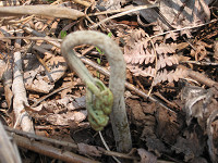 20080524-01.jpg