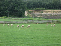 20080812-00.jpg