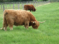 20080812-01.jpg