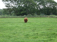 20080812-02.jpg