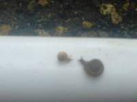 20080902-00.jpg