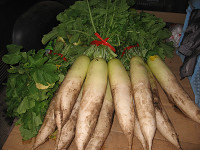20081024-00.jpg