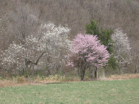 20090510-00.jpg