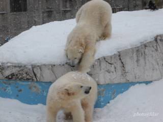 20100218-00.JPG
