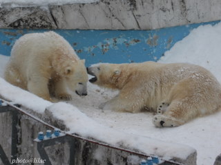 20100218-01.JPG