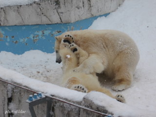 20100218-02.JPG