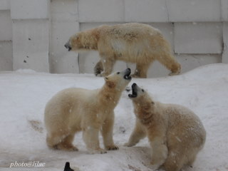 20100218-03.JPG