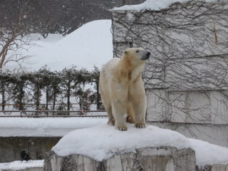 20100218-04.JPG