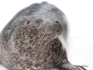 20100218-05.JPG
