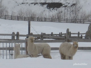 20100301-00.JPG