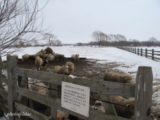 20100301-02.JPG