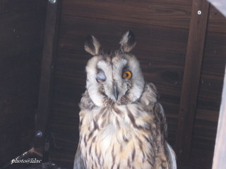 20100309-04.JPG